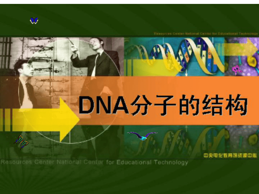 3.2 DNA的分子结构和特点