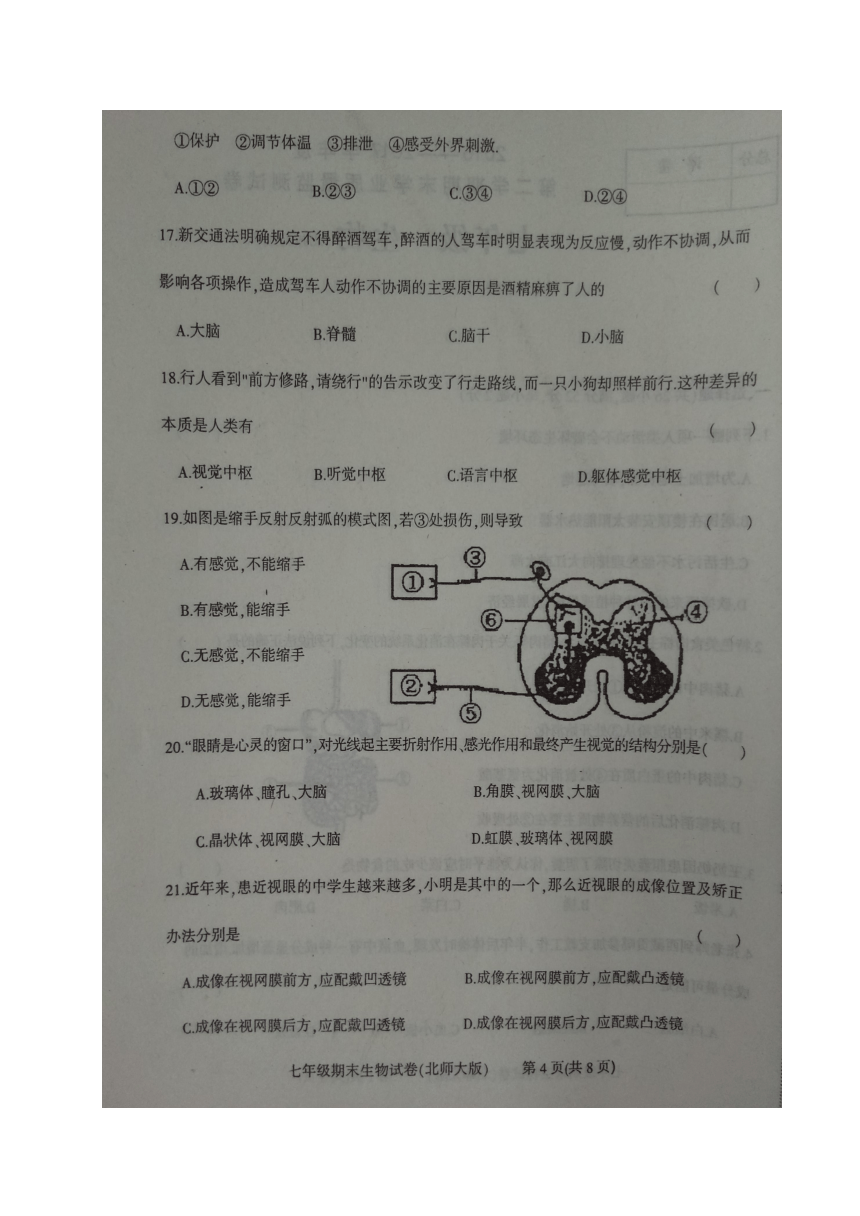 河北省廊坊市文安县2016-2017年七年级下学期末考试生物试题（图片版，含答案）