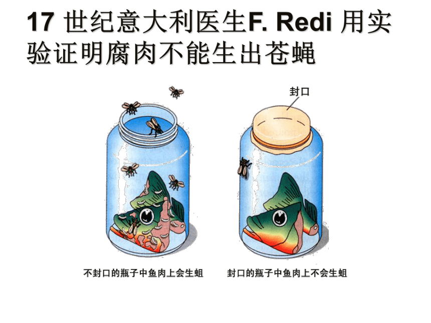 北师大版生物八年级下册第七单元 生命的演化-生命的起源 课件(共27张PPT)