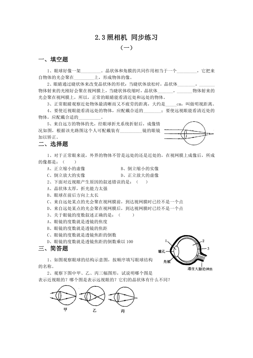 2.3照相机 同步练习 (含答案)