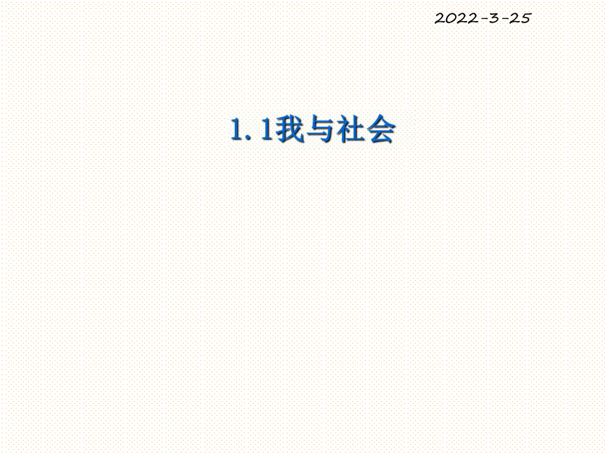 1.1我与社会  同步课件(共29张幻灯片)