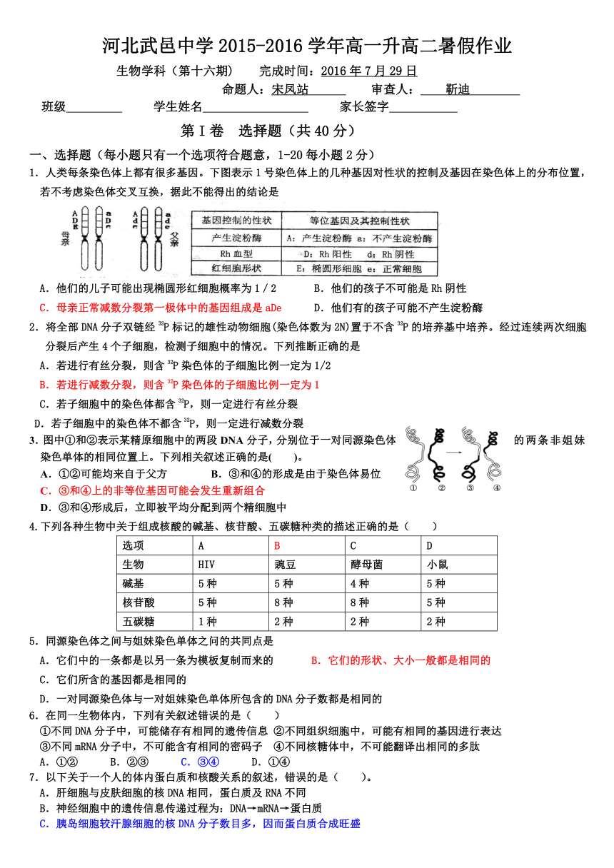 河北省武邑中学2015-2016学年高一下学期暑假作业生物试题（16）