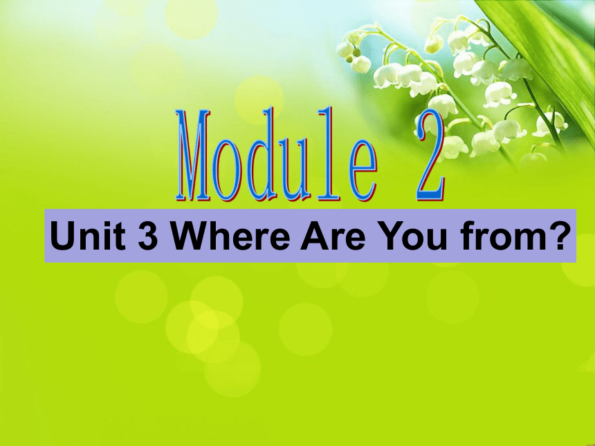 Unit 3 Where are you from? 课件