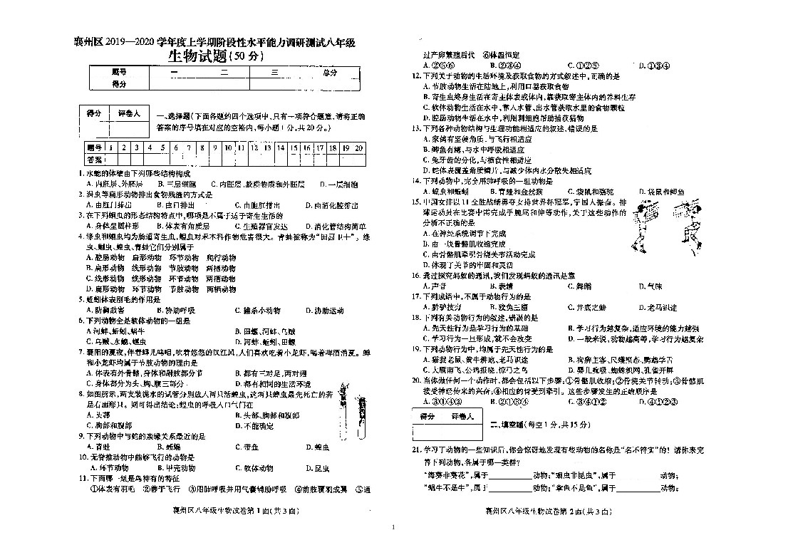 2019-2020湖北省襄阳市襄州区期中考试8年级上册生物试题（图片版）