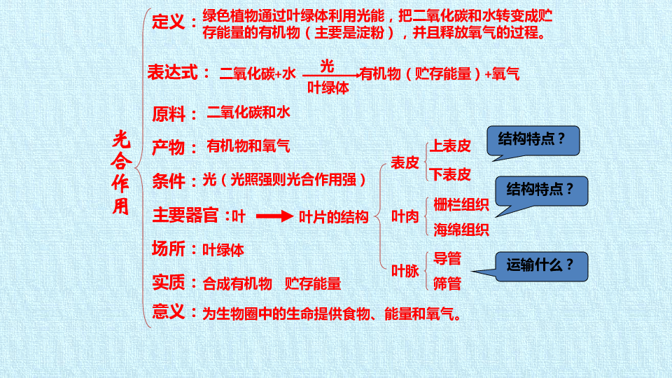 北师大版七年级生物上册：第三单元  第五章  绿色开花植物的生活方式  复习课件（21张PPT）