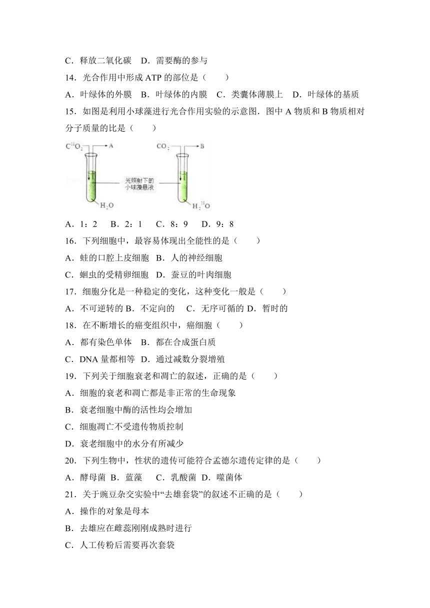 北京市东城区2016-2017学年高二（上）期末生物试卷（解析版）