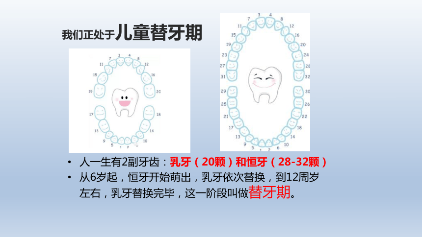 通用版二年级 关爱牙齿更关心你 主题班会课件(共16张PPT)