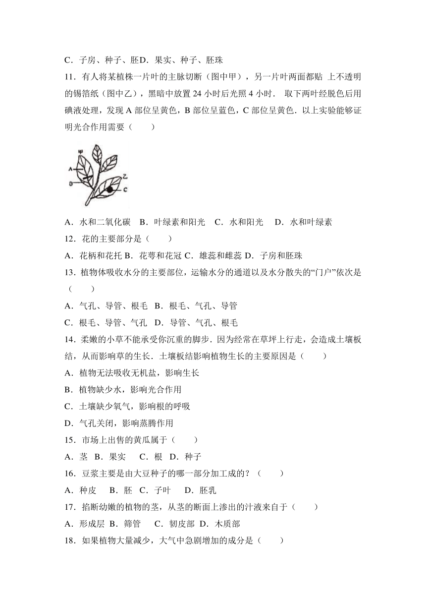 江苏省盐城市盐都中学2016-2017学年七年级（上）第二次月考生物试卷（解析版）