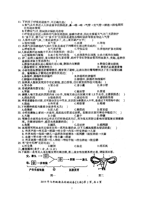 （首发）湖南省邵阳县2019年上学期七年级期末检测生物试卷（扫描版）