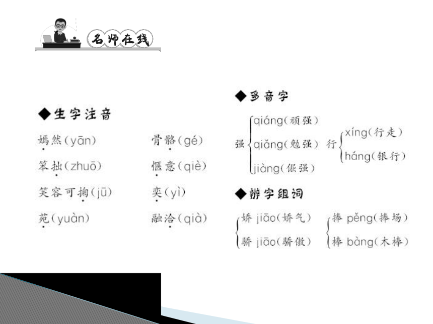 课件预览