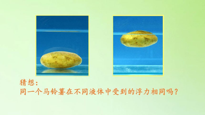 教科版五年级科学下册教学课件1.8探索马铃薯沉浮的原因(共25张PPT)