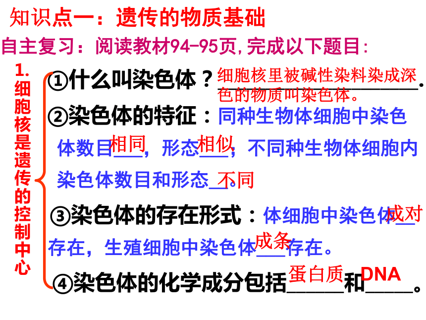 济南版八年级生物中考复习生物的遗传和变异复习一课件（17张ppt）