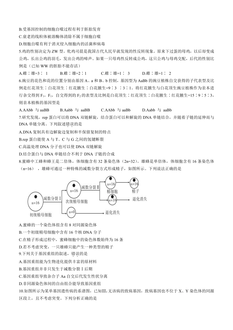 湖南省五市十校教研教改共同体2020-2021学年高一下学期期末考试生物试题 Word版含答案