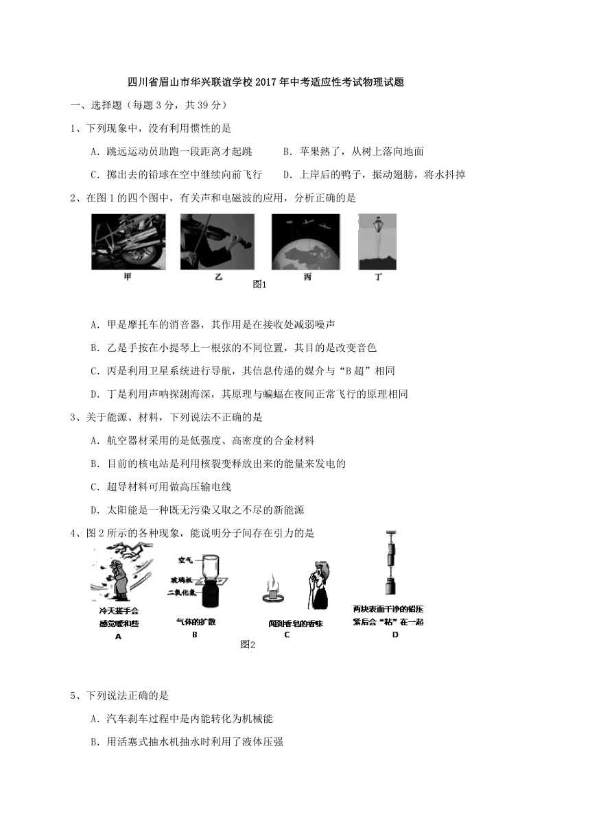 四川省眉山市华兴联谊学校2017年中考适应性考试物理试题