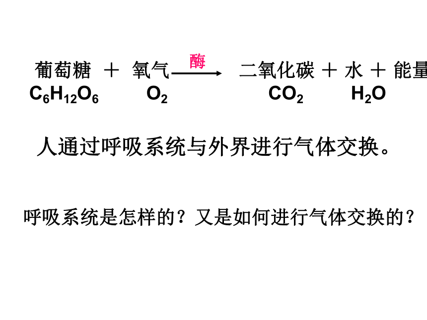 5.2人的呼吸（两课时）