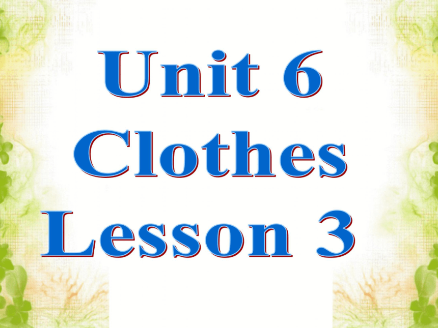 Unit 6 Cothes Lesson 3 课件