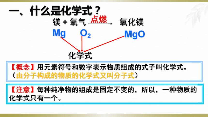 第二节 物质组成的表示 第一课时课件（12张PPT）