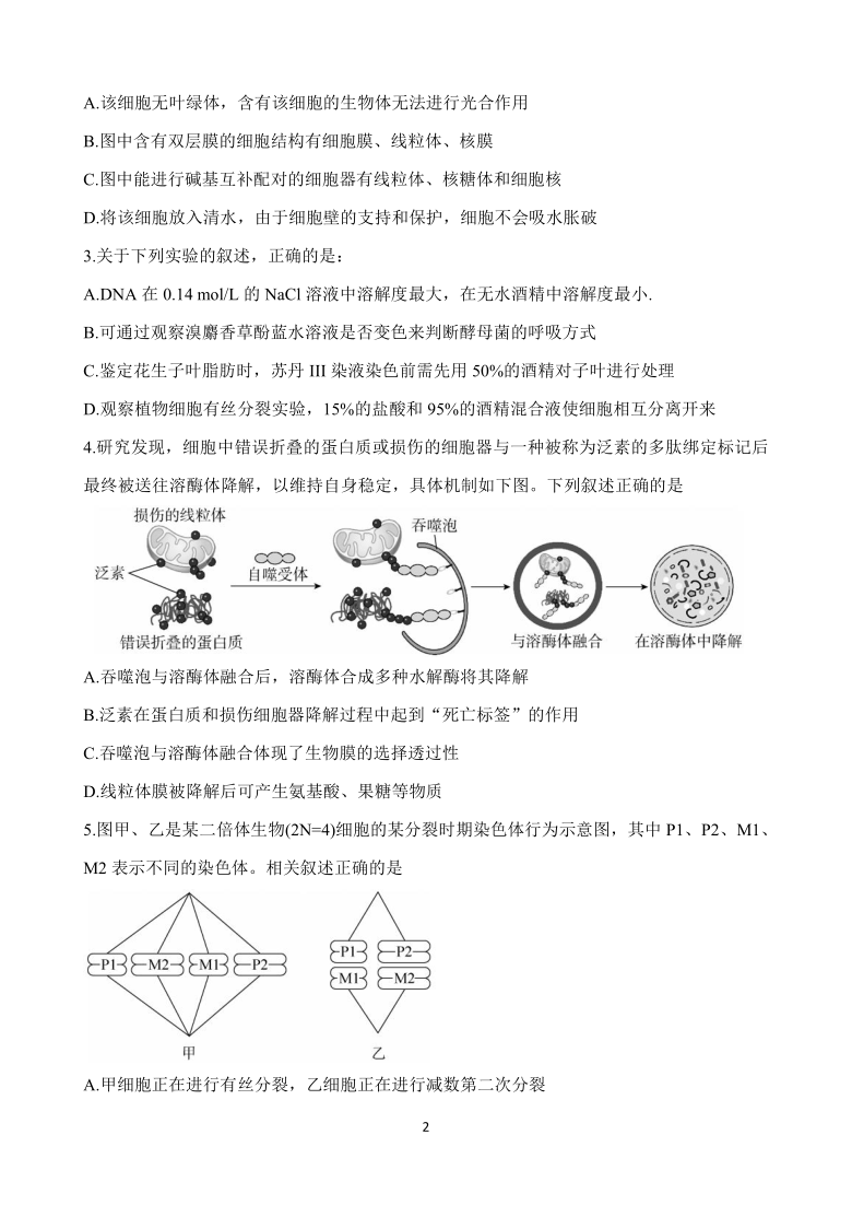 辽宁省百师联盟2021届高三下学期一轮复习联考（五） 生物（新高考I卷） Word版含解析