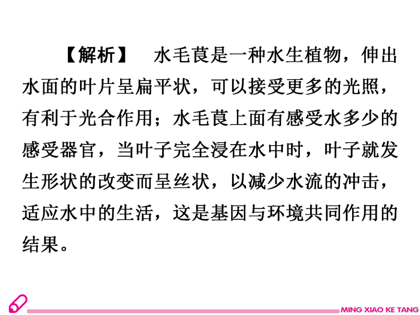 2019年秋八年生物北师大版上册课件：20.5遗传与环境（28张ppt）