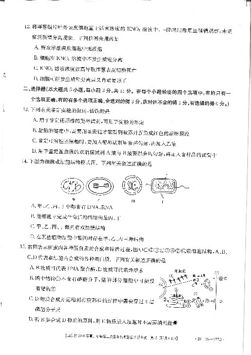 山东省2019-2020学年高二下学期第二次质量监测联合考试生物试题 PDF版含答案