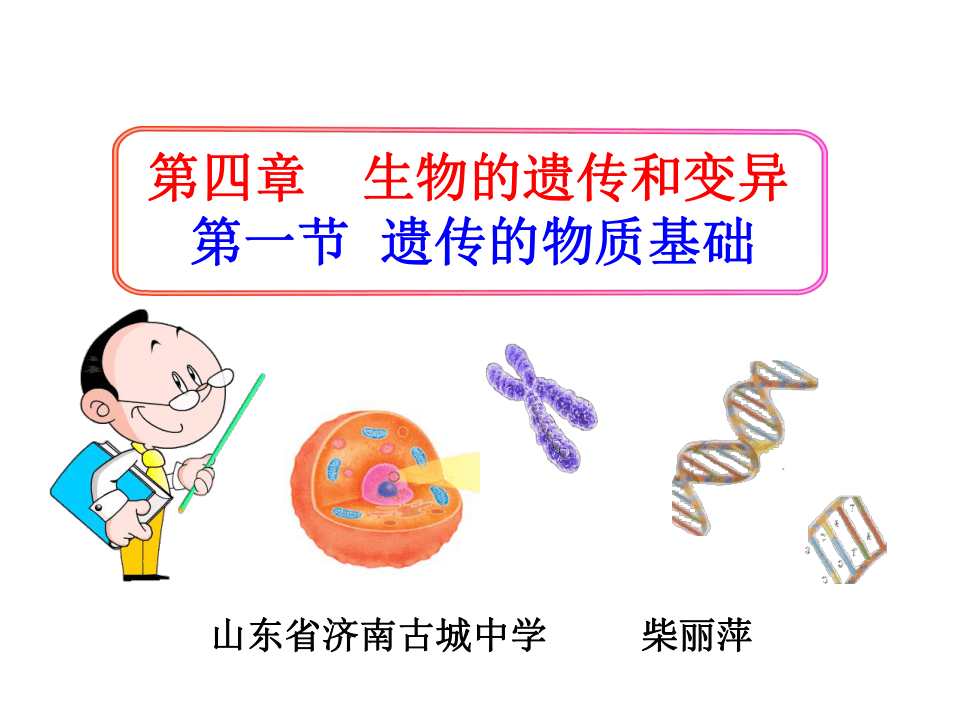 济南版初中生物八年级上册 4．4．1 遗传的物质基础 课件（共39张PPT）
