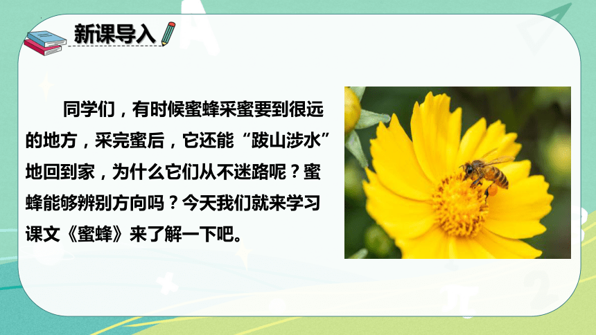 部编版三年级下册语文课件同学们,下课啦板书设计蜜 蜂结果:二十只