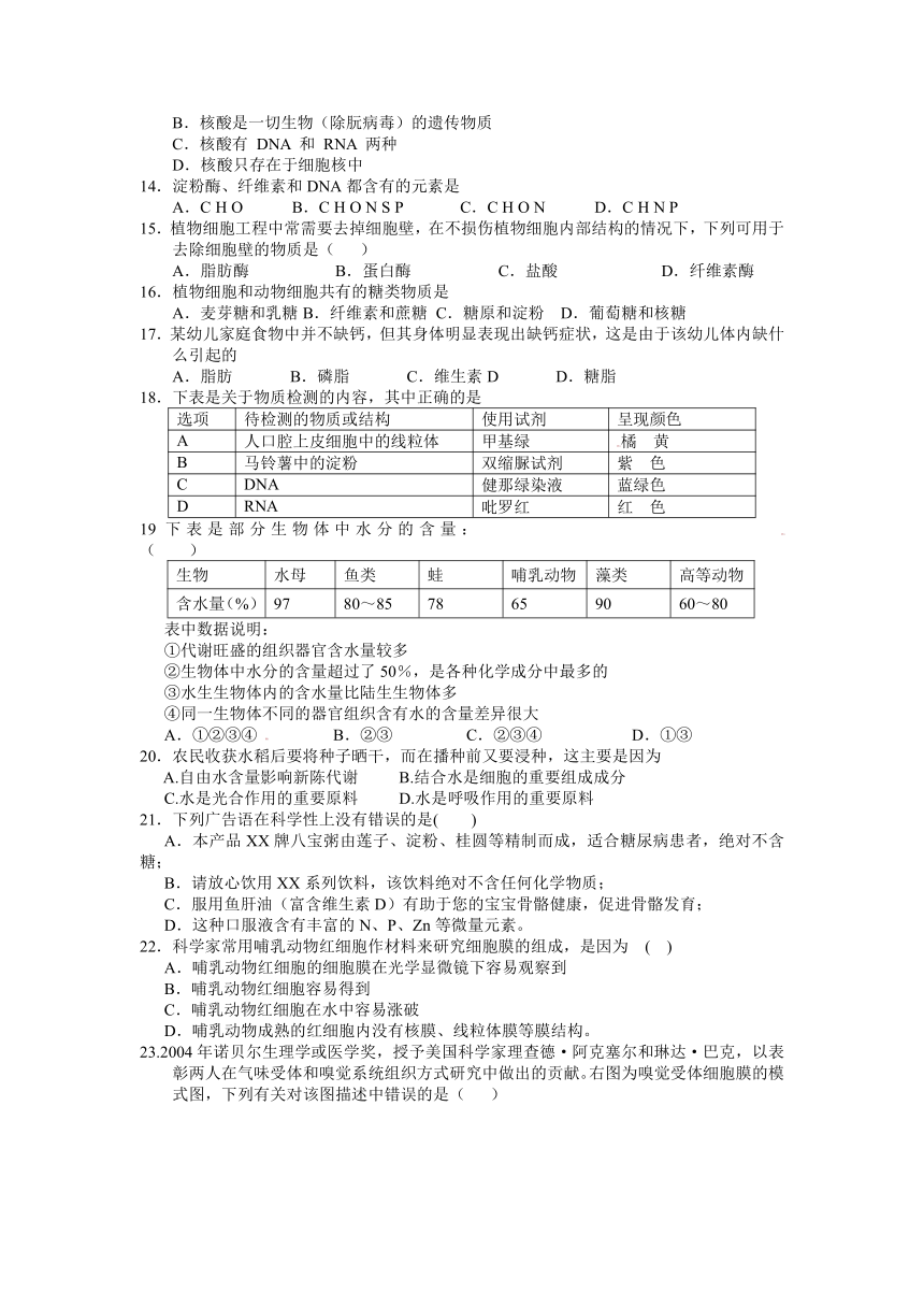 甘肃省永昌县第一高级中学2012-2013学年高二上学期期中考试生物试题