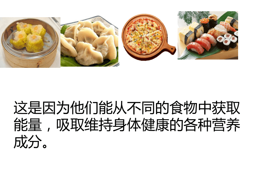 食物中主要成分的作用及检验