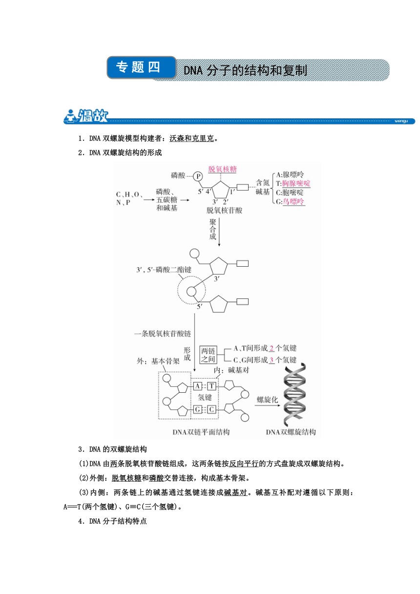 快乐暑假之高一生物：专题4+DNA分子的结构和复制