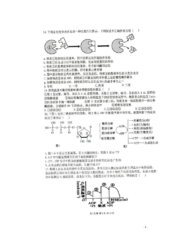 陕西省龙岗学校2020届高三第七次质量检测生物试题 扫描版