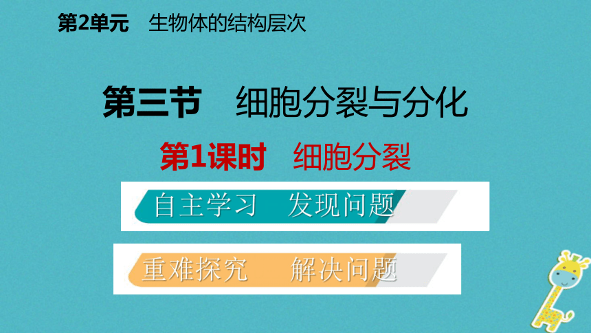 细胞的分裂与分化第1课时细胞分裂课件（12张ppt）