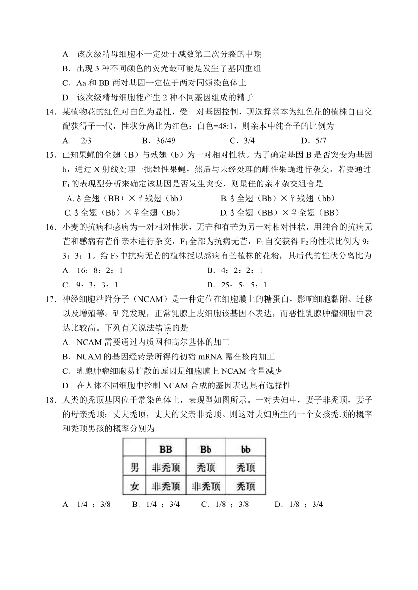 安徽省安庆市2017届高三上学期期末教学质量调研检测生物试题 Word版无答案