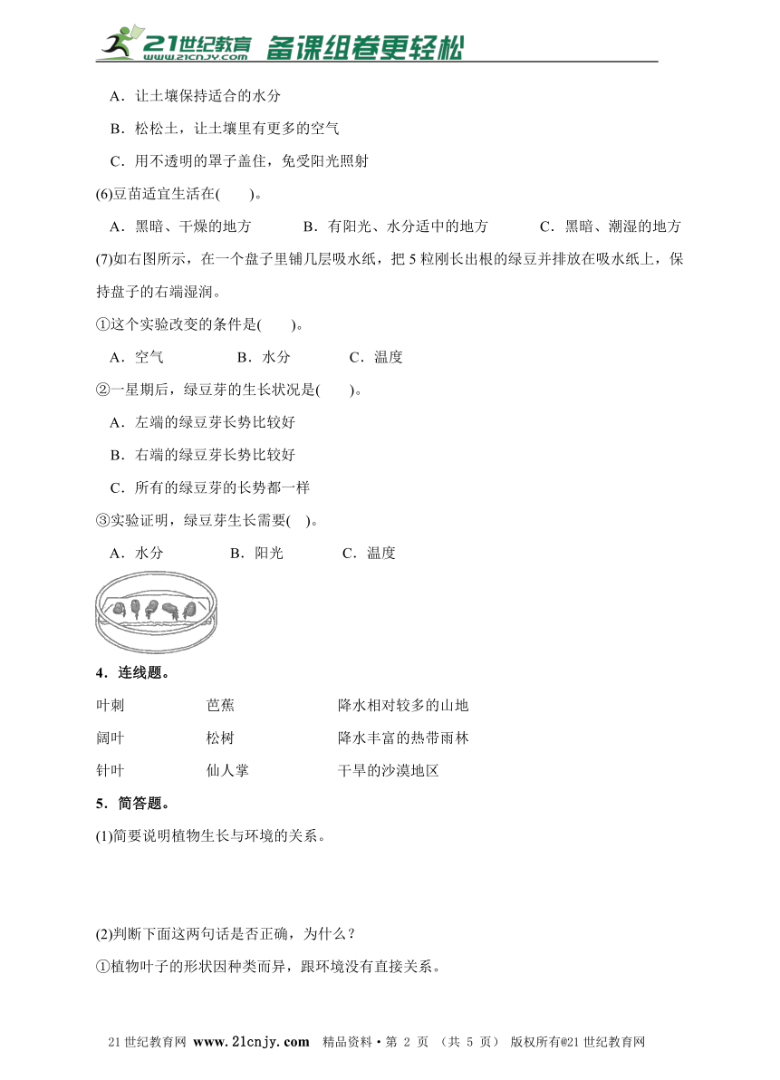 1.3观察绿豆芽的生长同步练习