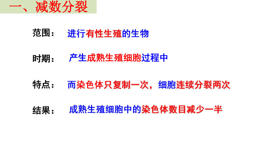 2020-2021学年高一生物人教版必修二2.1减数分裂与受精作用课件 （62张ppt）