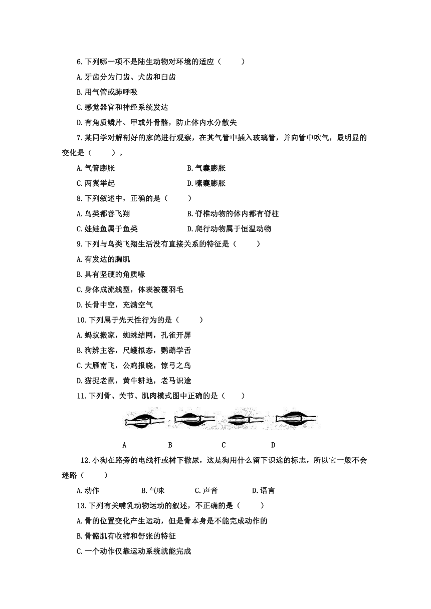 山东省莱芜市实验中学2013-2014学年八年级（五四学制）上学期期中考试生物试题（无答案）