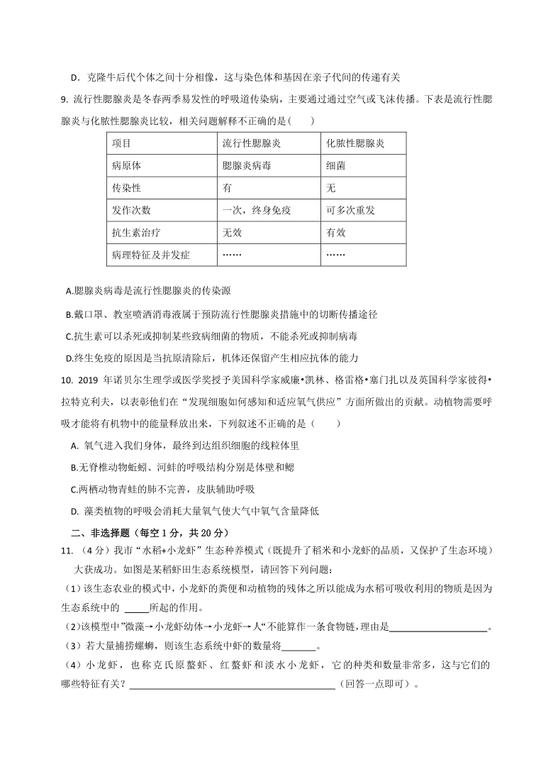 黄冈市2021年生物中考冲刺卷(四)（Word版含答案）