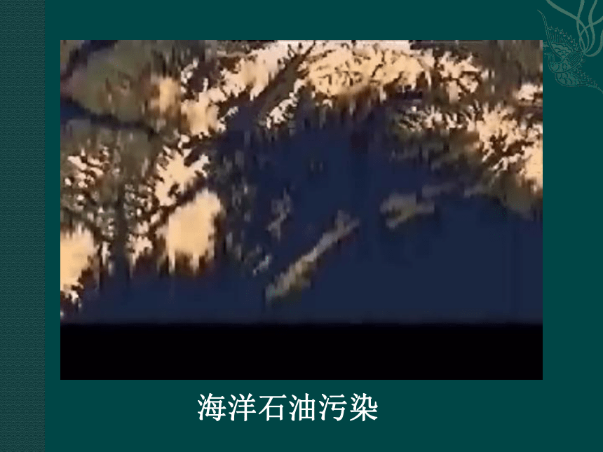 生物：中图版选修二 212 生物净化（课件）