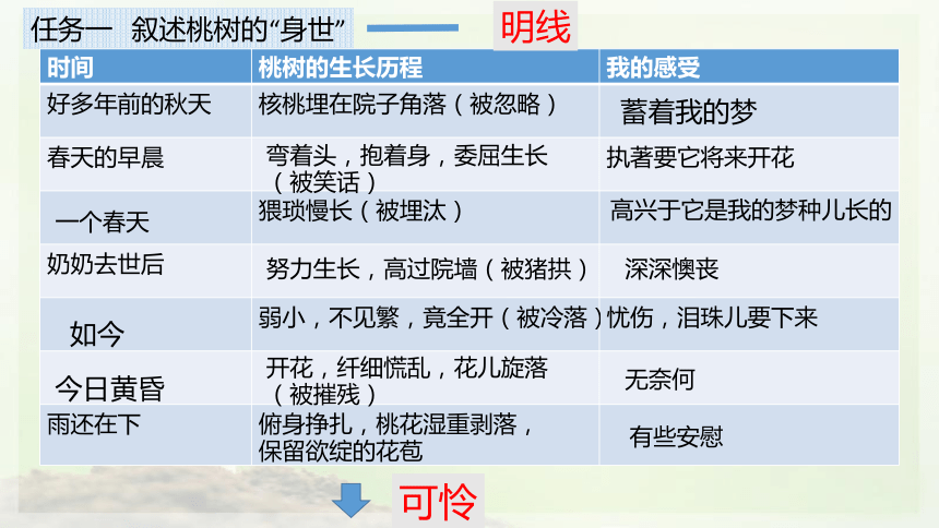 一棵小桃树板书图片