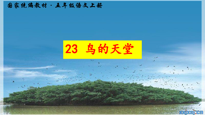 23 鸟的天堂 课件（34张PPT）