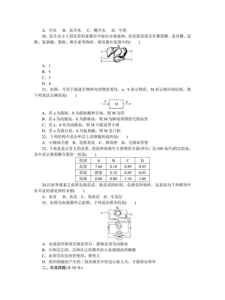 北师大版七年级生物下册期中检测卷及答案