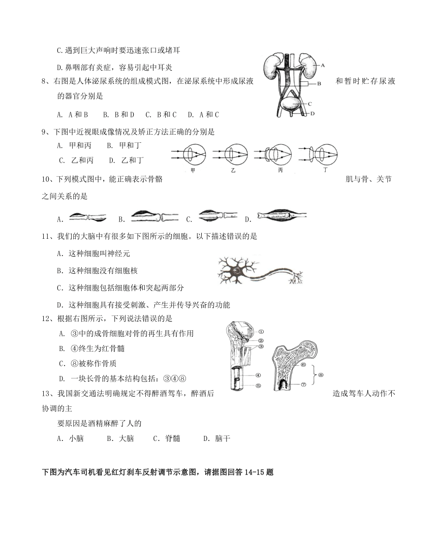 江苏省徐州市铜山县茅村镇2017_2018学年八年级生物上学期期中试题苏教版