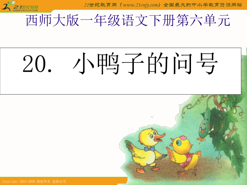 一年级语文下册课件 小鸭子的问号 3（西师大版）