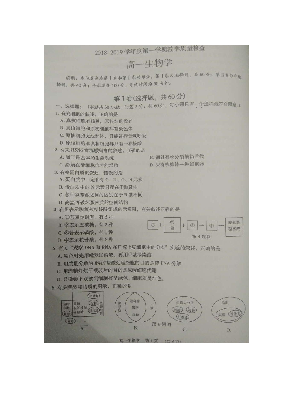 2018-2019学年广东省东莞市高一上学期期末考试生物试题  扫描版