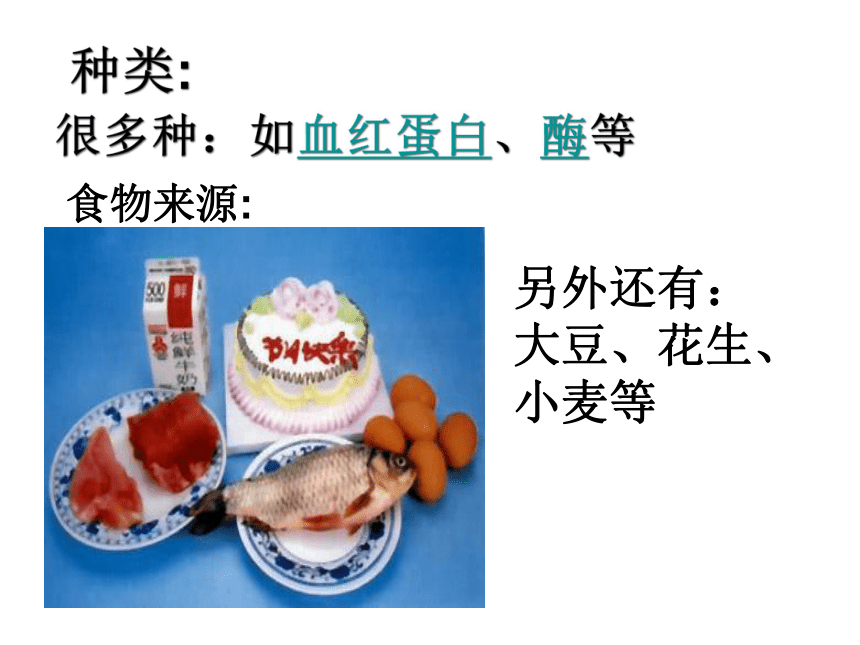 化学：泗阳县新阳中学 专题九单元1 三大营养物质课件（九年级下）