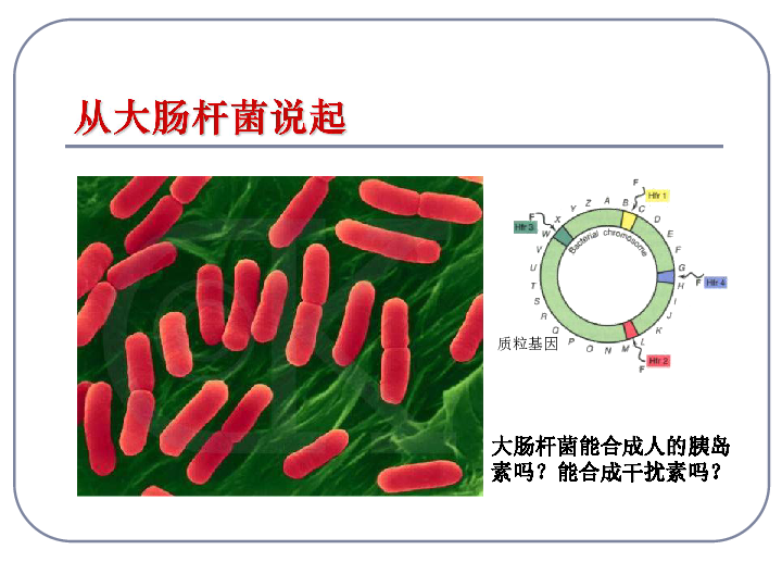 转基因大肠杆菌图片