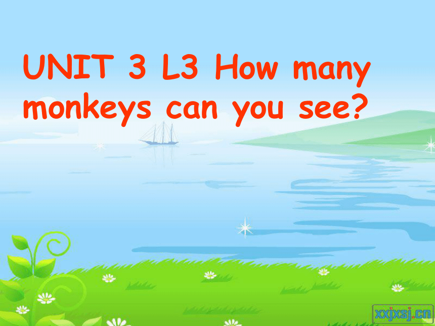 Lesson 3 How many monkeys can you see?课件