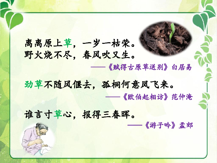 《生物学与文学 寄予植物的情怀》课件（22张PPT）