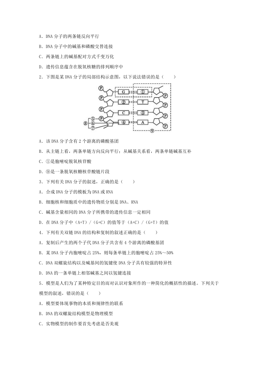 快乐暑假之高一生物：专题4+DNA分子的结构和复制