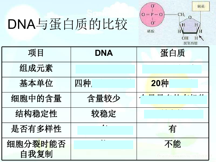 人教版高中生物必修二第3章第1节 DNA是主要的遗传物质 课件 共31张PPT