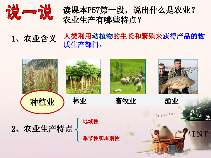 3.1农业生产与地理环境课件（37张）